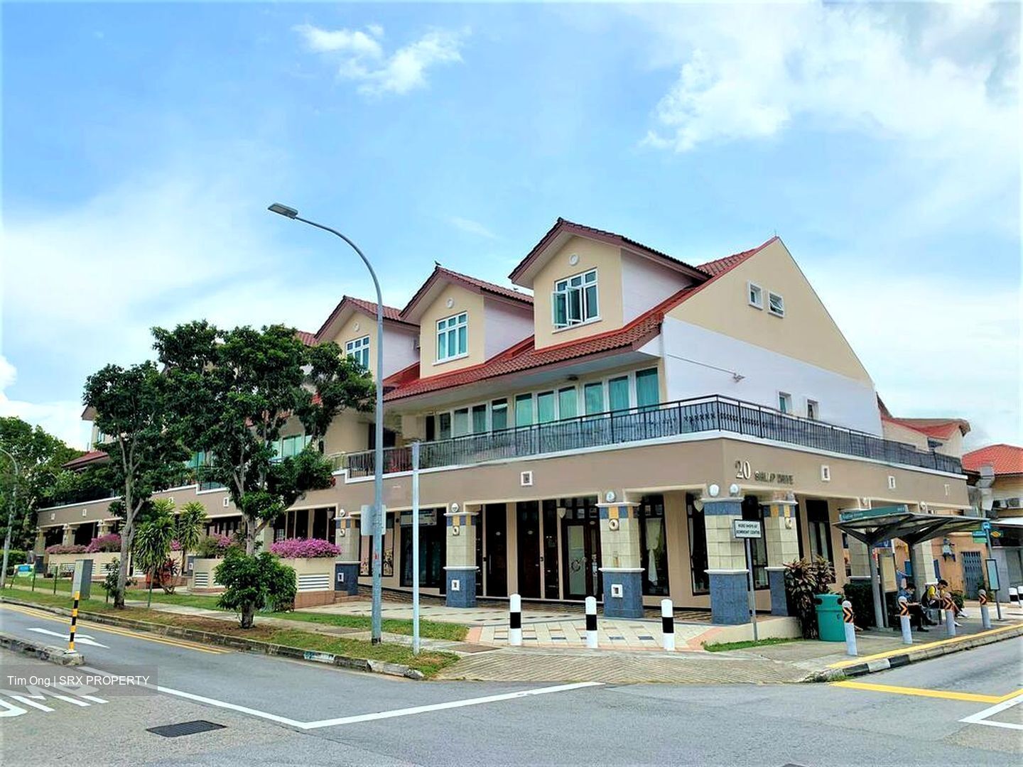 Frankel Estate (D15), Shop House #456152911